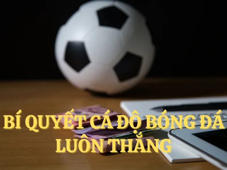 Tìm Hiểu Cá Cược Bóng Đá TK88: Hướng Dẫn Chi Tiết Cho Người Mới