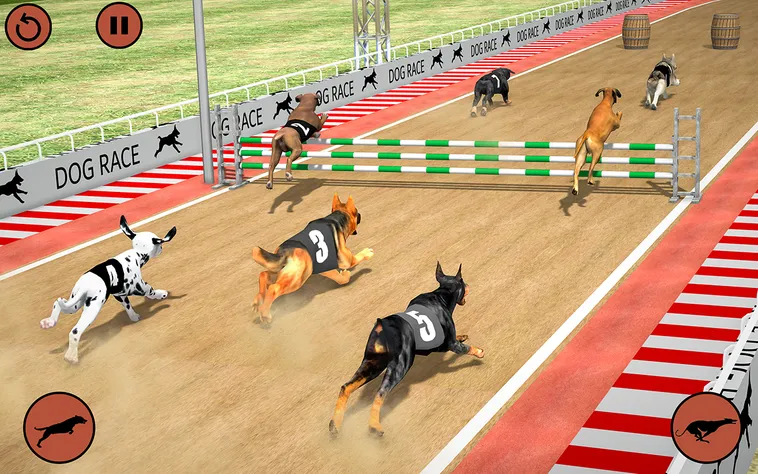 Hướng Dẫn Chơi Game Nhanh Đua Chó Tại TK88 Thành Công