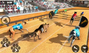 Hướng Dẫn Chơi Game Nhanh Đua Chó Tại TK88 Thành Công