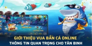 Cách Chơi Vua Bắn Cá Tại TK88 Hiệu Quả Nhất